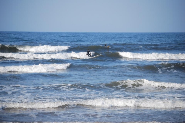  Surfear 